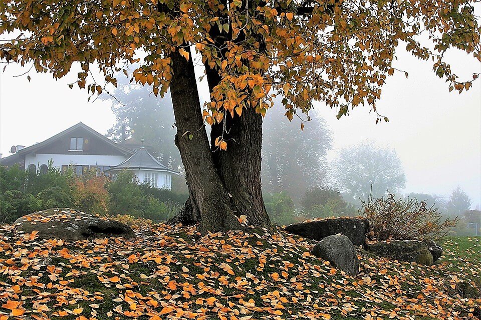 10 motivi per amare l’autunno