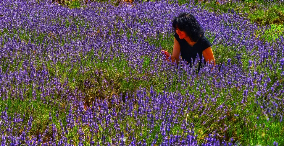 Festa della Lavanda a Parma e pic nic…alla lavanda!