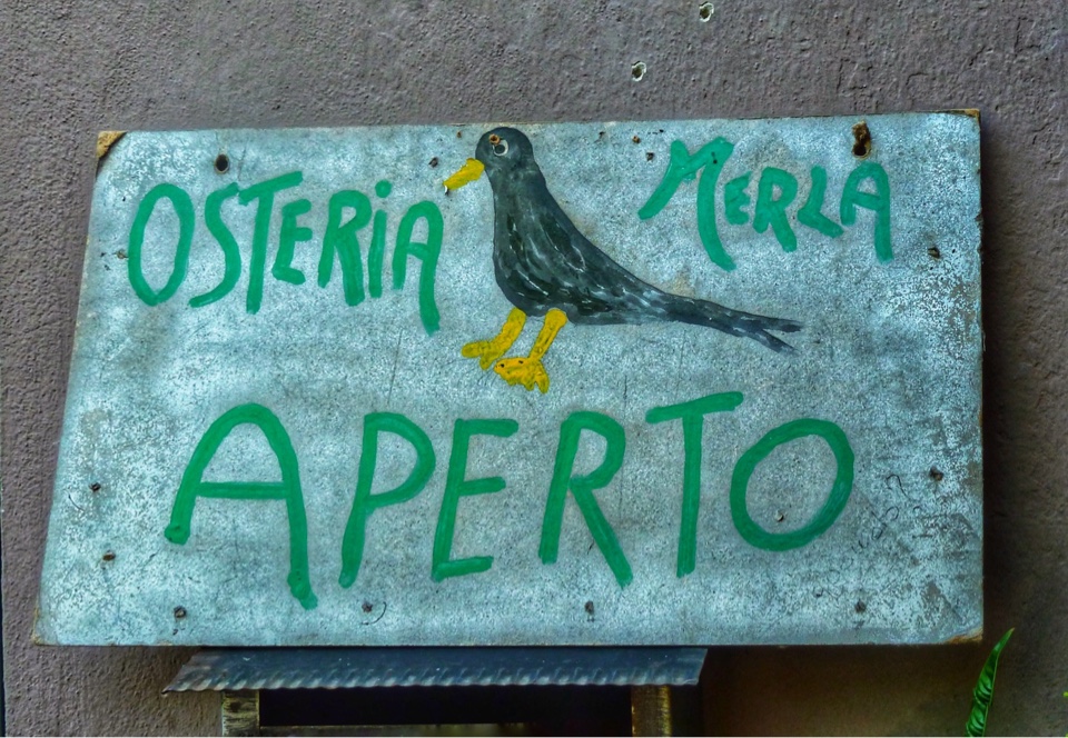 Osteria della Merla a Gualtieri. Un locale da provare!