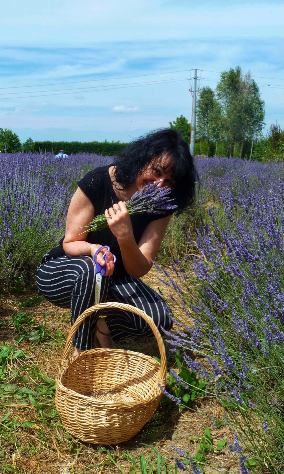 pic-nic-alla-lavanda