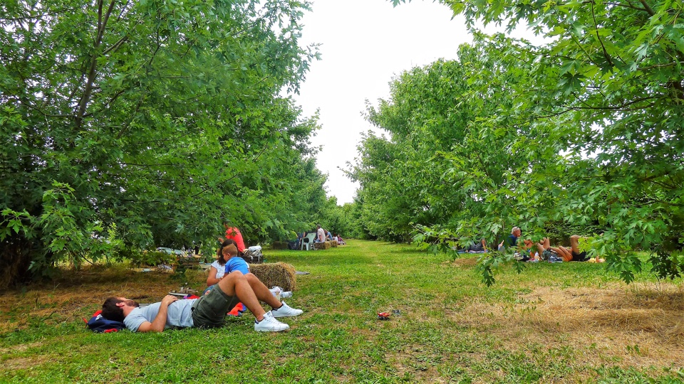 pic-nic-alla-lavanda