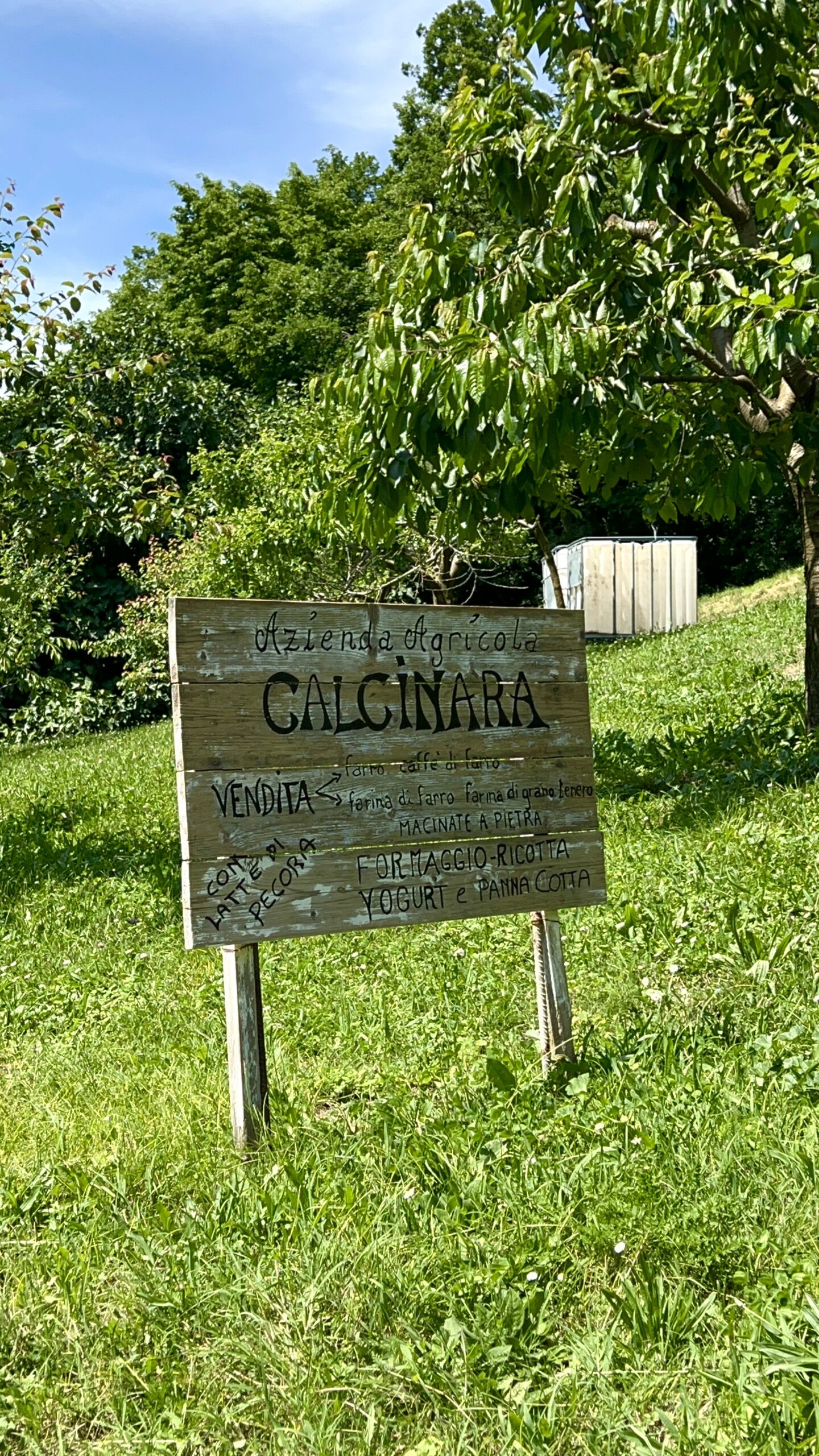 azienda-agricola-calcinara