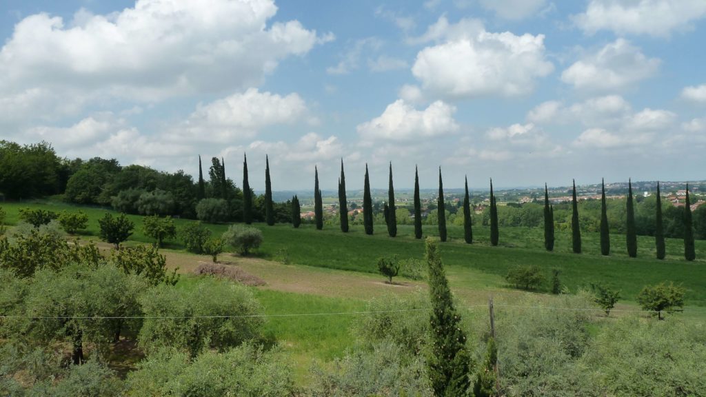 Santarcangelo-di-Romagna-viale-di-cipressi