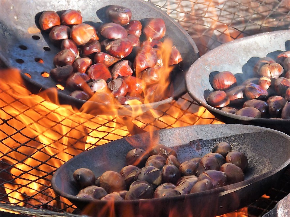 frutti-autunnali-castagne