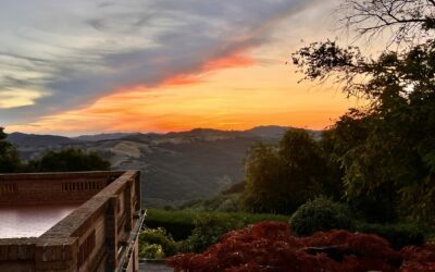 2 giorni nell’Alta Valle del Tresinaro: itinerario tra Baiso e Viano