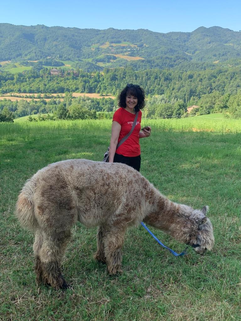 giro-alpaca-reggio-emilia