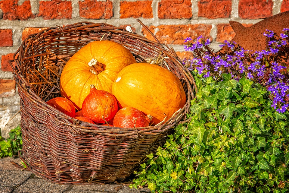 zucca-sapori-autunnali